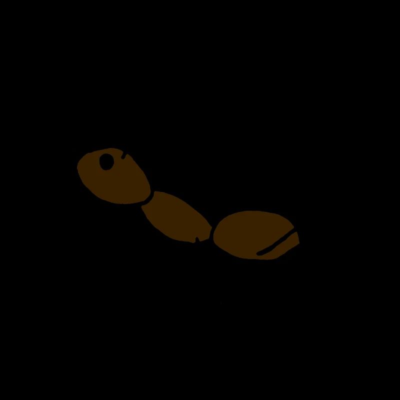 ant