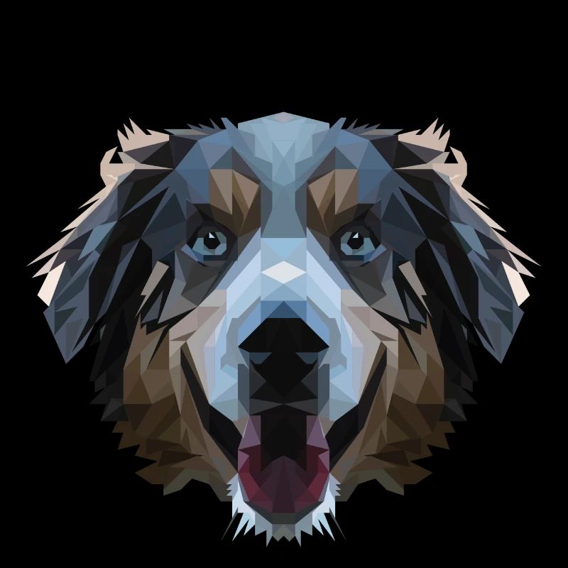 Aussie im Polygondesign - Geometrie