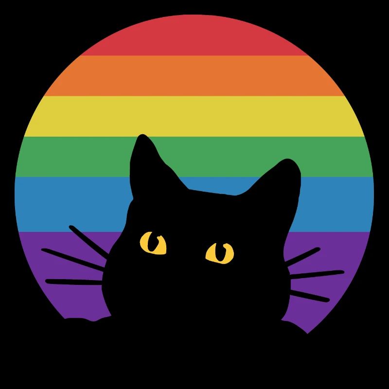 Regenbogen Katze
