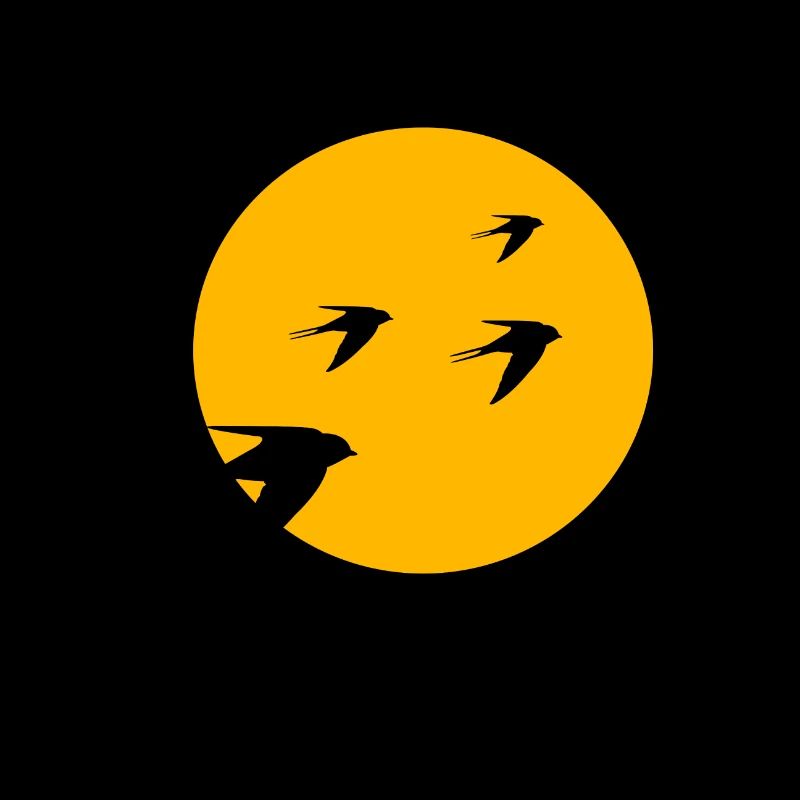 Oiseaux oiseau soleil