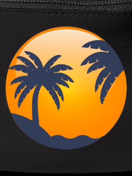 Sun behind palm trees