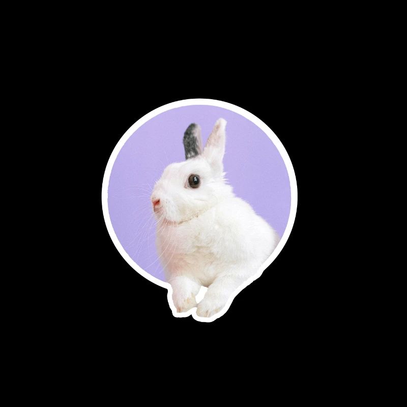 Lapin doux Kanninchen