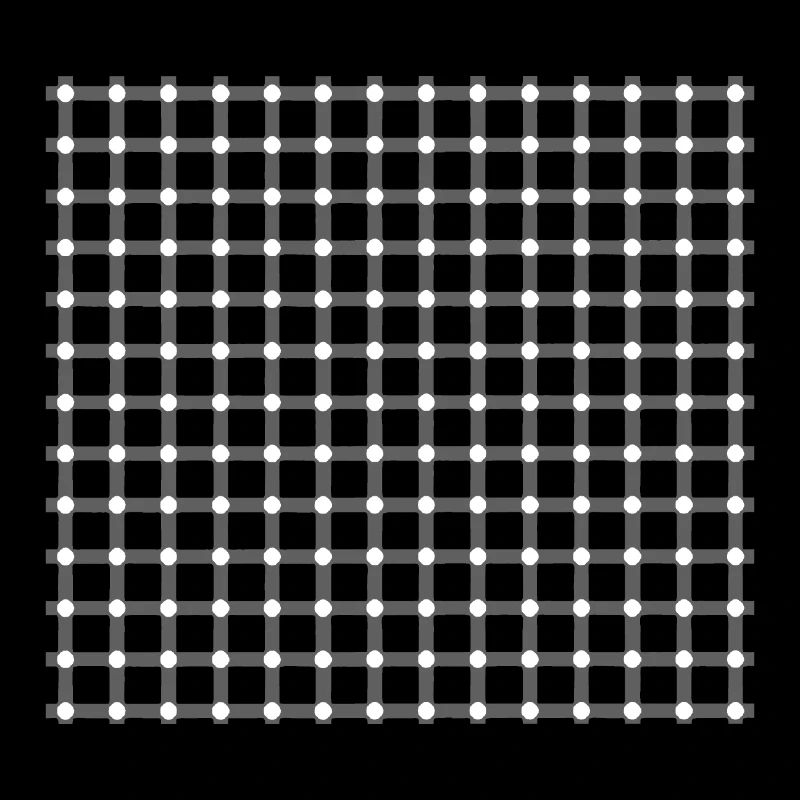 OPTICAL ILLUSION