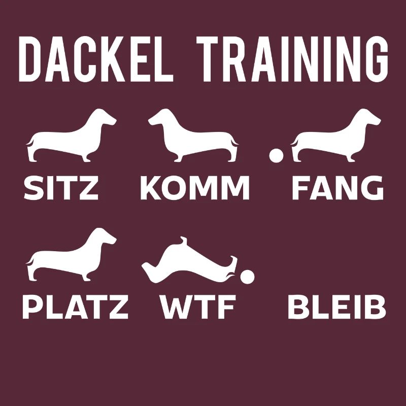 Dackel Training