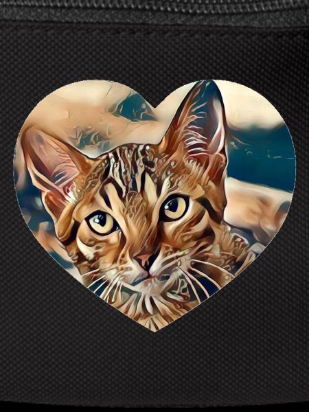Chat