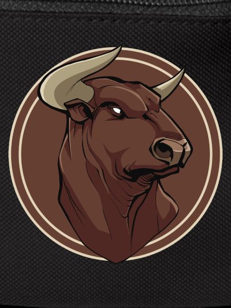 Bull