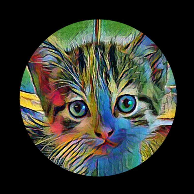 Chat