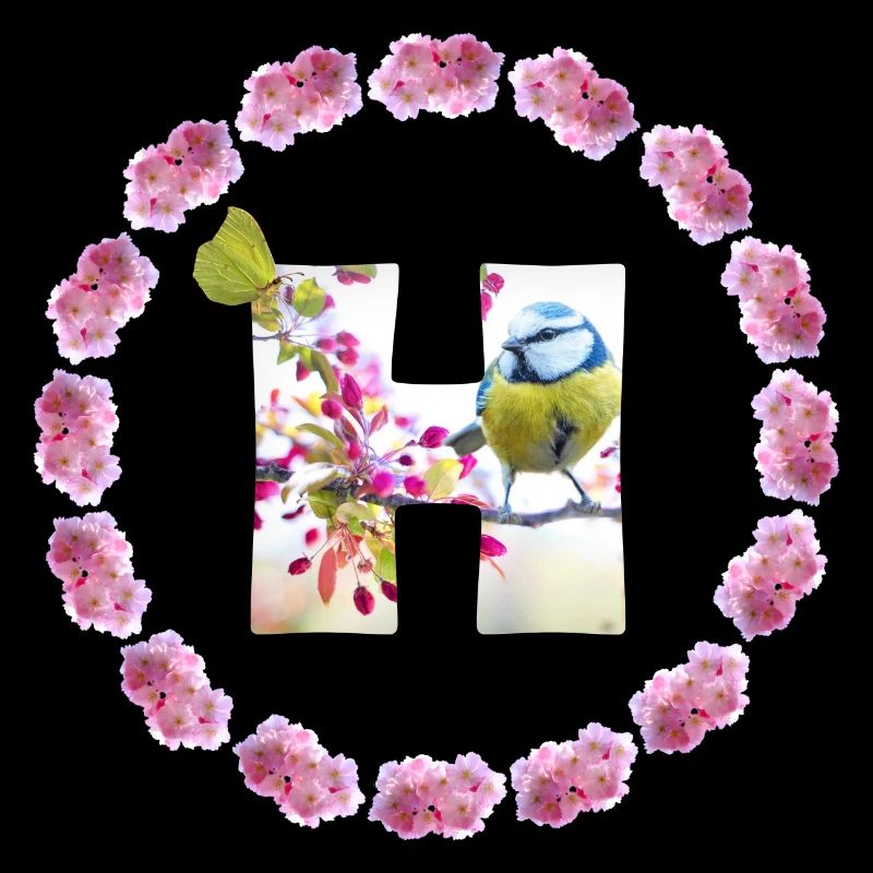 spring bird butterfly h