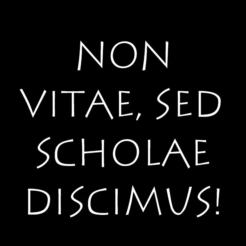Non vitae sed scholae discimus