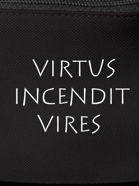 Virtus incendit vires