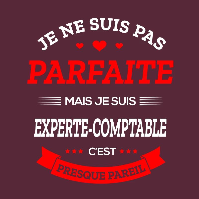 EXPERTE-COMPTABLE PARFAITE