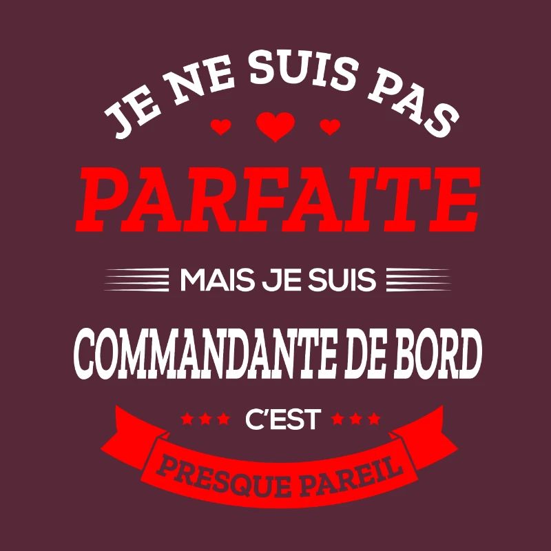 COMMANDANTE DE BORD PARFAITE