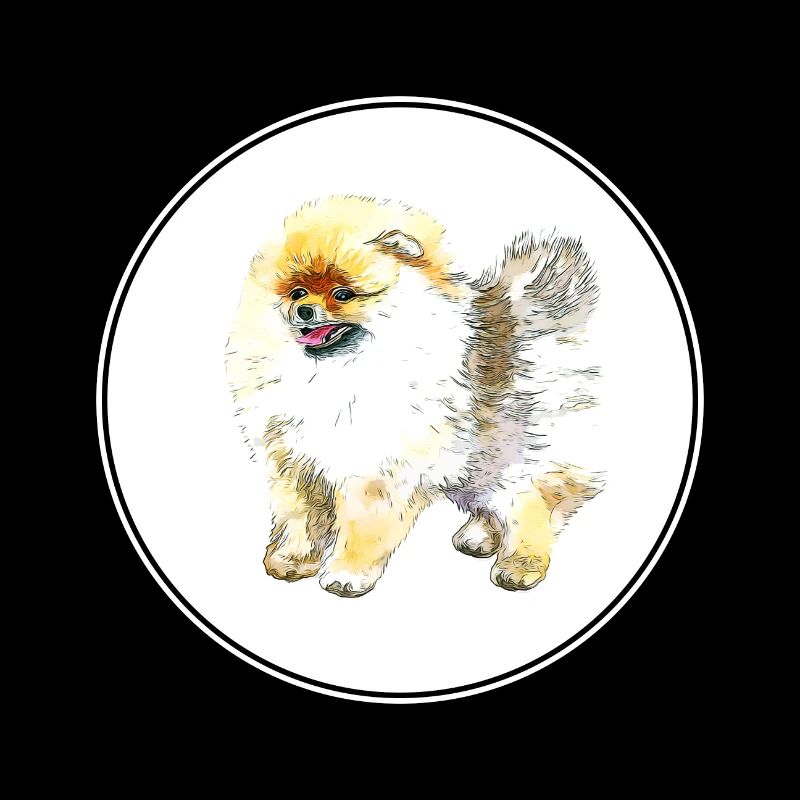 Illustration de l’aquarelle du chien Spitz de Poméranie