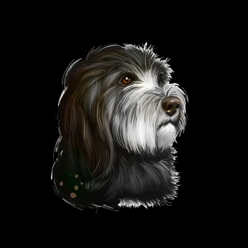 Illustration de l’aquarelle du chien de berger catalan