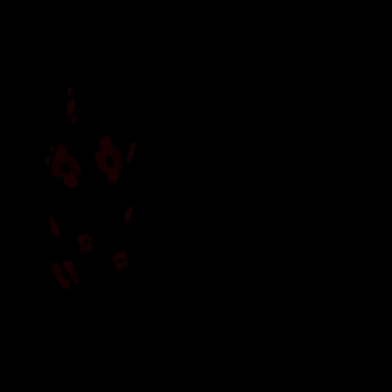 Cercle de cadre de printemps en fleurs noires