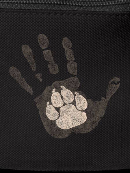 Dog paw in hand