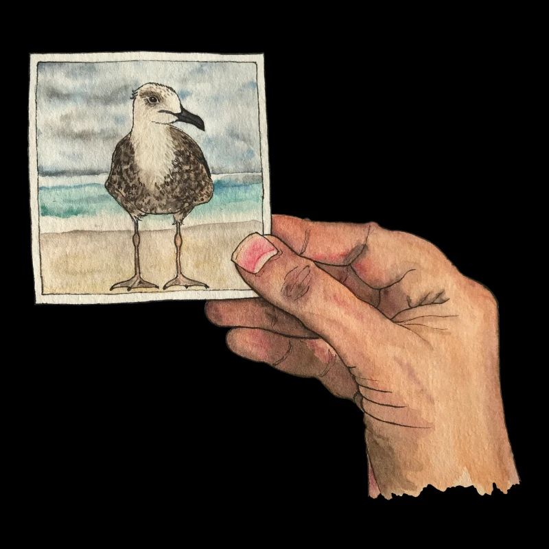 Hand with photo of a seagull