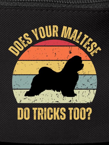 Macht Ihr Malteser auch Tricks