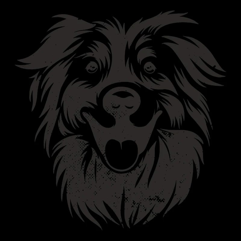 Aussie - Australian Shepherd