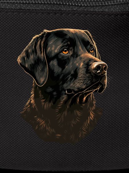 Black Labrador Retriever