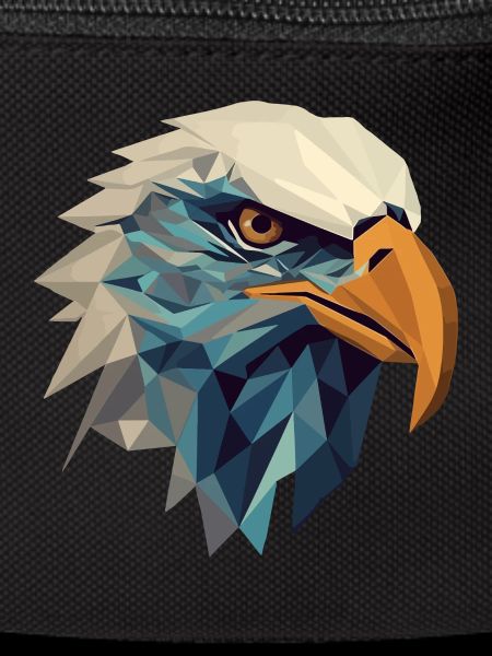 Stylized, geometric eagle