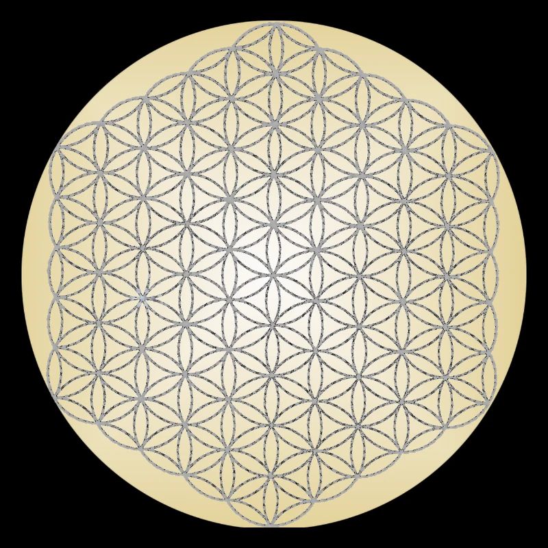 Blume des Lebens Silber - 5. Dimension - Mandala