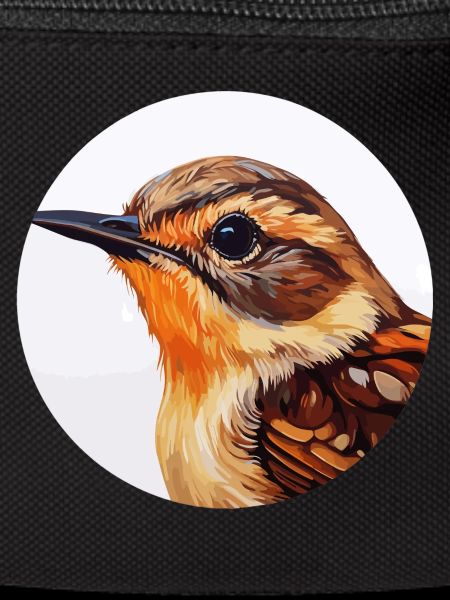 Wren bird