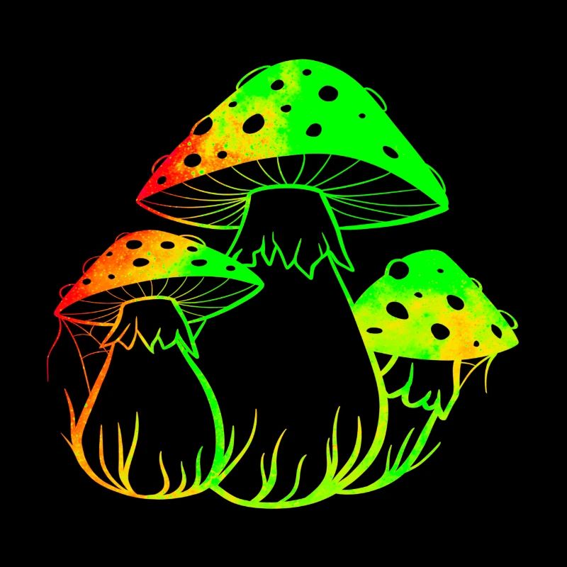 Champignons fluos