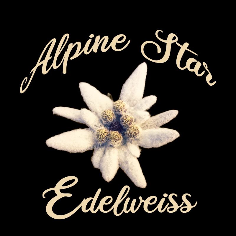 Alpine Star Edelweiss – Alpine Flower Design