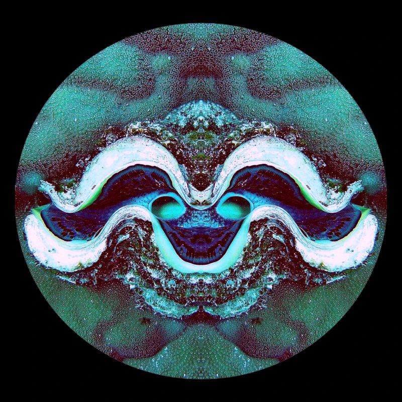 Nature Mandala Smiling Shell