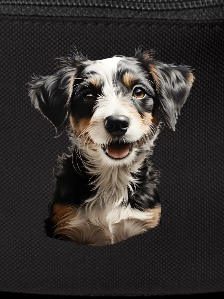 Jack Russel Terrier