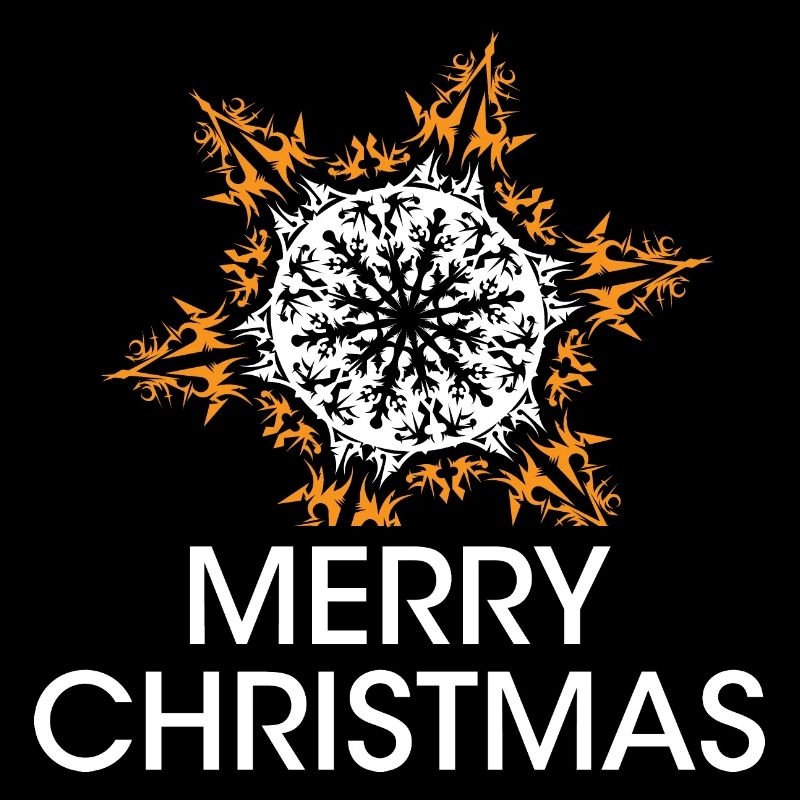 flocon de neige de Noël cristaux de Noël étoile icône