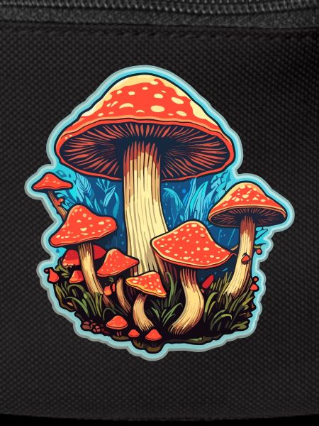 Toadstool Mushroom Mushroom Picker