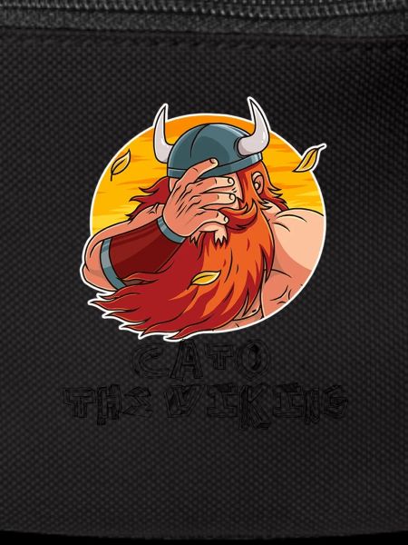 FacePalm Viking