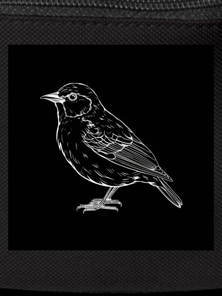 Bird, black and white