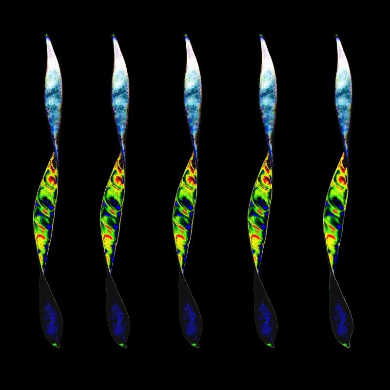 twisted pair