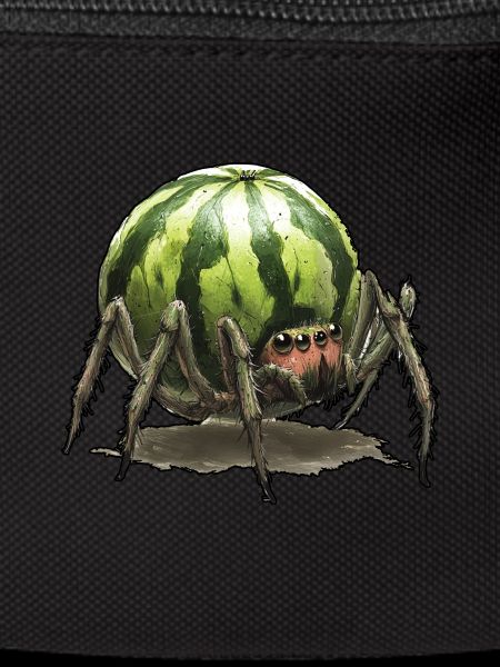 Melon Spider