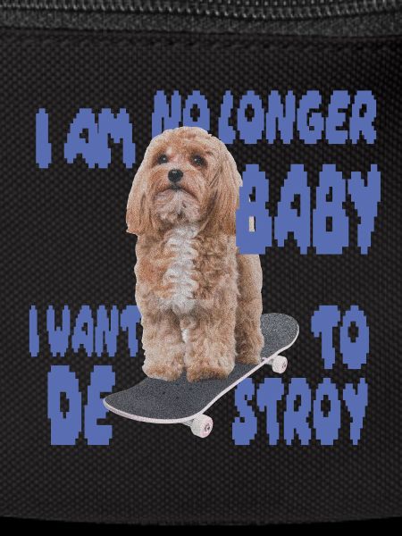 Skater Dog Meme - Plus bébé