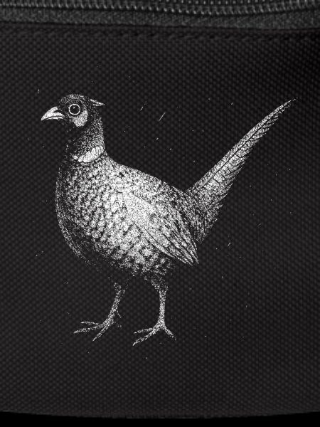 A pheasant