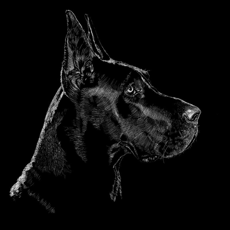 Mastiff