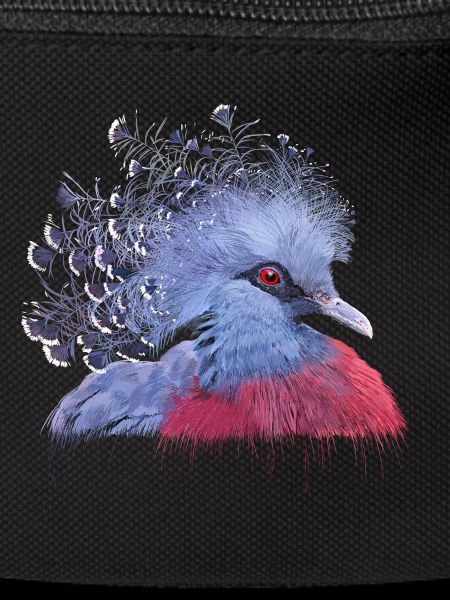 Pigeon couronné