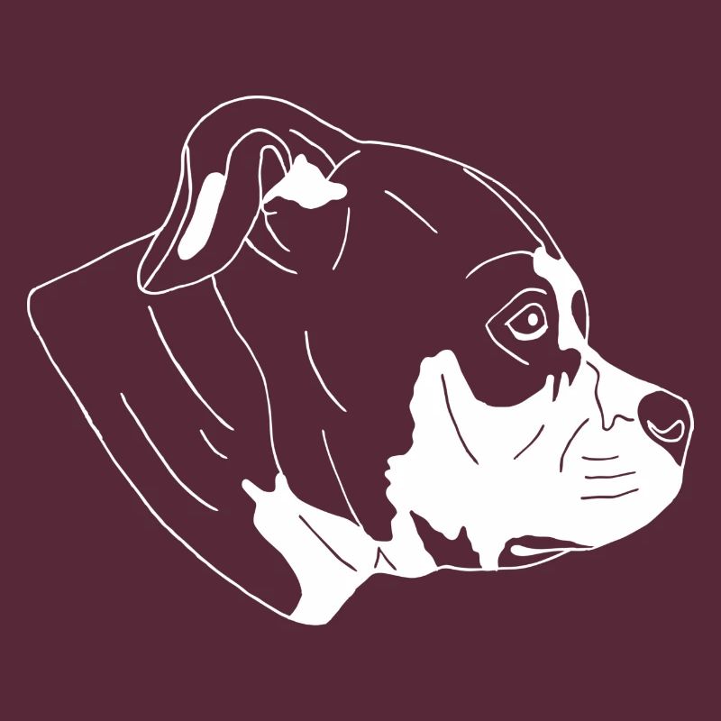American Bully