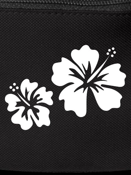 White hibiscus