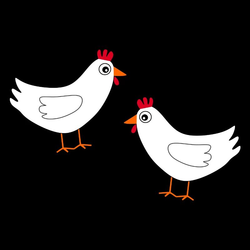 Chicken White White Chickens Hens Easter
