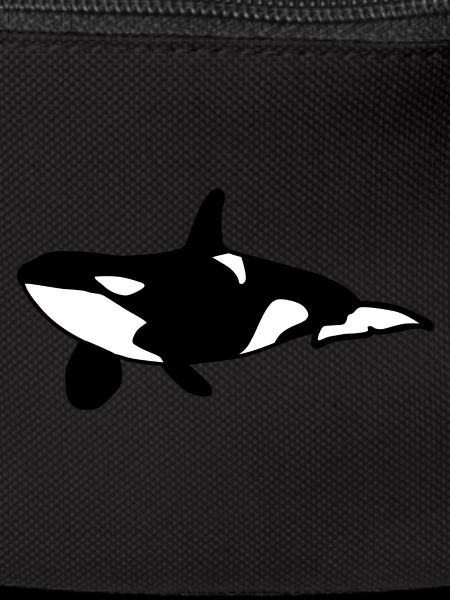 Orca Wal Meer