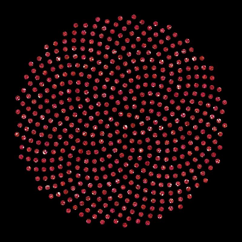 Fibonacci Mathematik Sonnenblume Phi Spirale Mathe