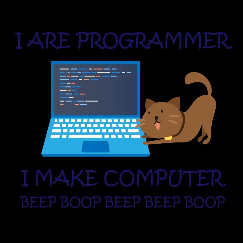 Je suis programmeur je fais Computer Informatiker