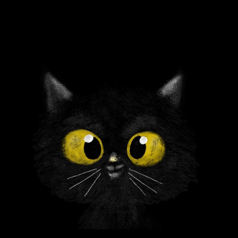 Blackcat