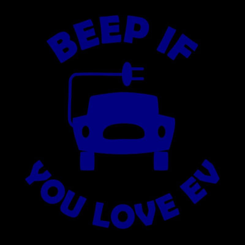 Die E Auto Fans