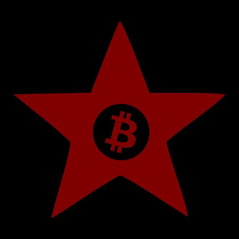 Die Krypto Revolution Bitcoin